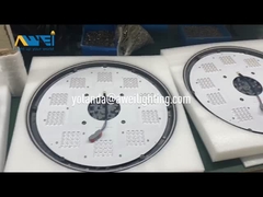 Dispositivos elétricos de luz do jardim do diodo emissor de luz garantia de 5 anos