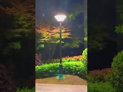 Tantas lindas e brilhantes luzes do pátio, que adoro andar no parque!
