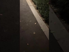 Uau! Que lâmpada de jardim clássica, ilumina a noite!