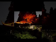 Olha para esta lâmpada brilhante Lwan