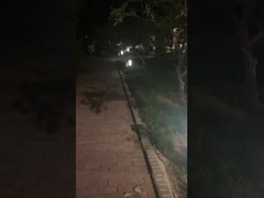 Iluminação de passeios ao ar livre - Iluminação de parques