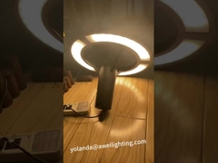 Iluminação personalizada de teste de luz de jardim