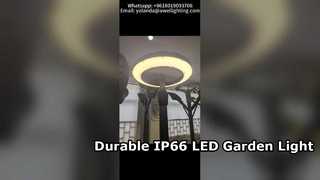Luz de jardim alimentada por rede elétrica superior de 30W-100W à prova d'água IP66 e IK10 com 5 anos de garantia.
