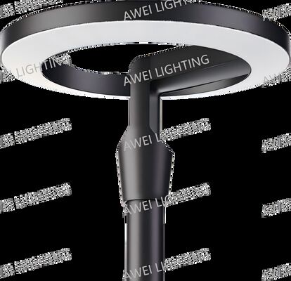 80W Main-powered Garden Light 160lm/w Com Casas de Alumínio de fundição a óleo usado em ruas e parques.