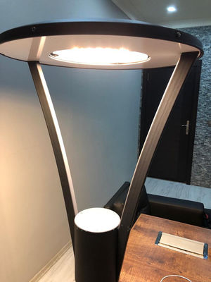 Lâmpadas de jardim LED de baixa tensão Material de alumínio 50 Watt Lâmpadas de jardim LED